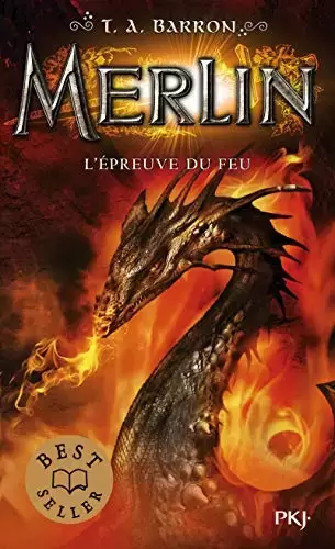 Livres en vrac - Merlin - tome 03 : L\'épreuve du feu (3)