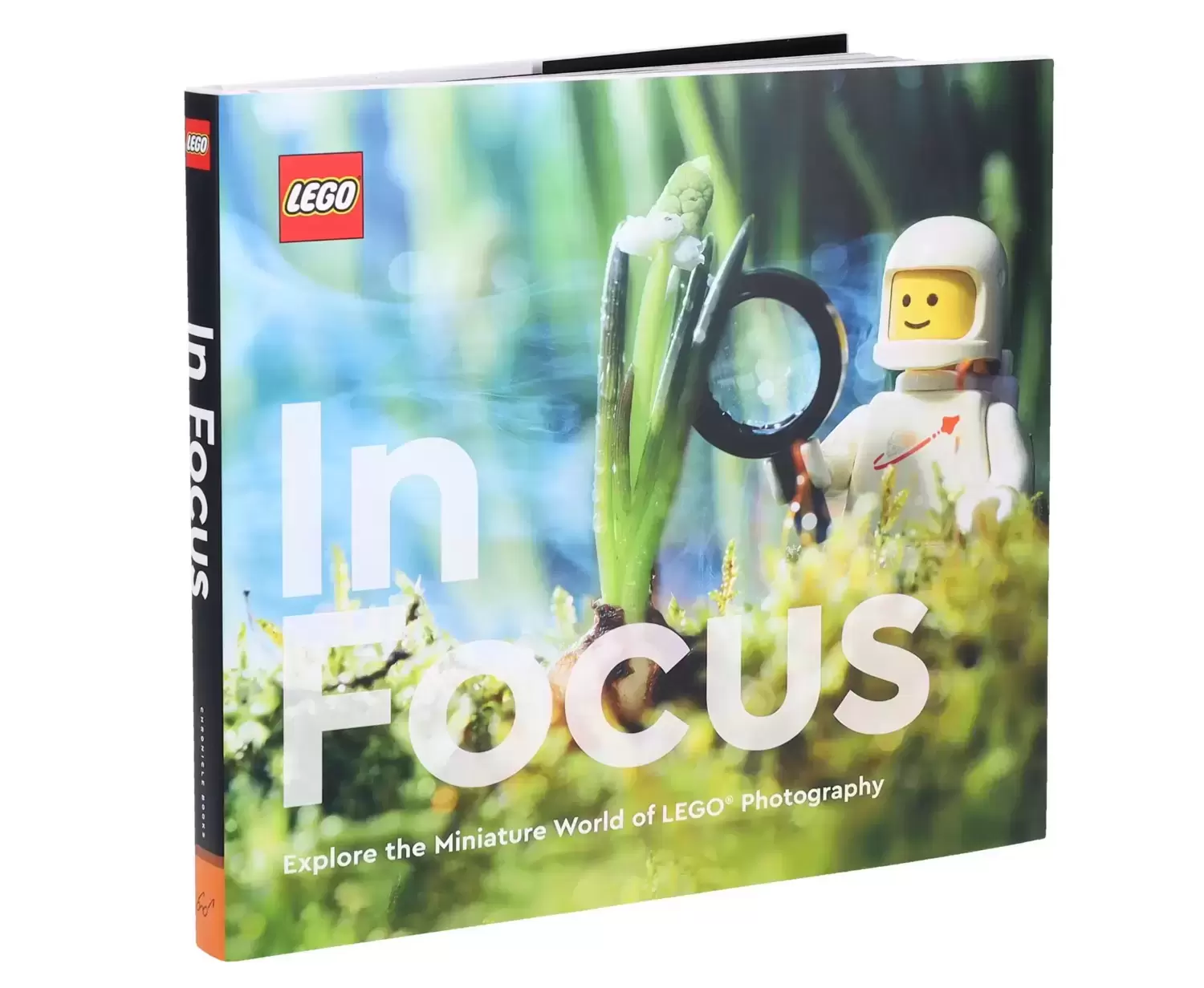 LEGO Books - LEGO In Focus