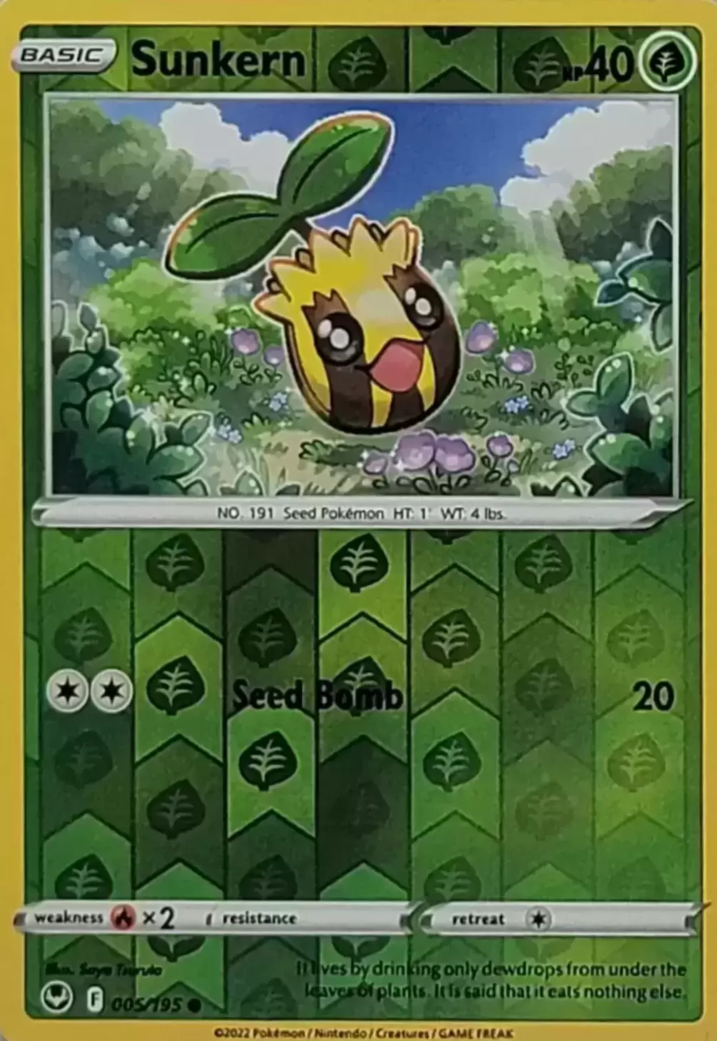 Silver Tempest - Sunkern Reverse