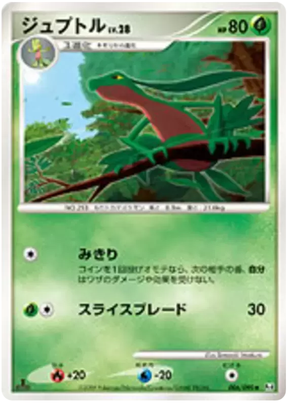 Pt4 - Advent of Arceus - Grovyle