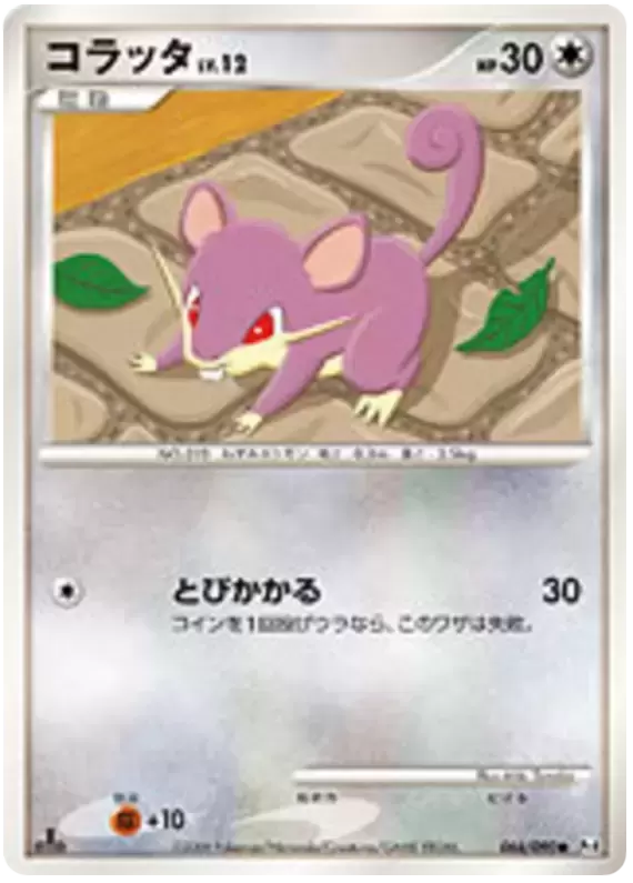 Pt4 - Advent of Arceus - Rattata