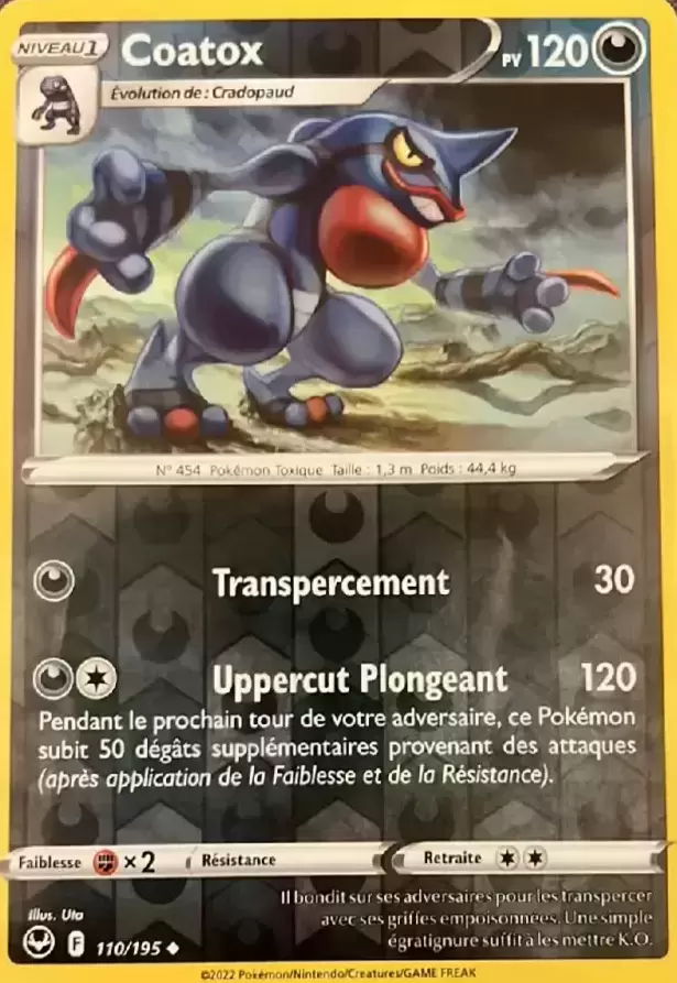 Tempête Argentée - Coatox Reverse