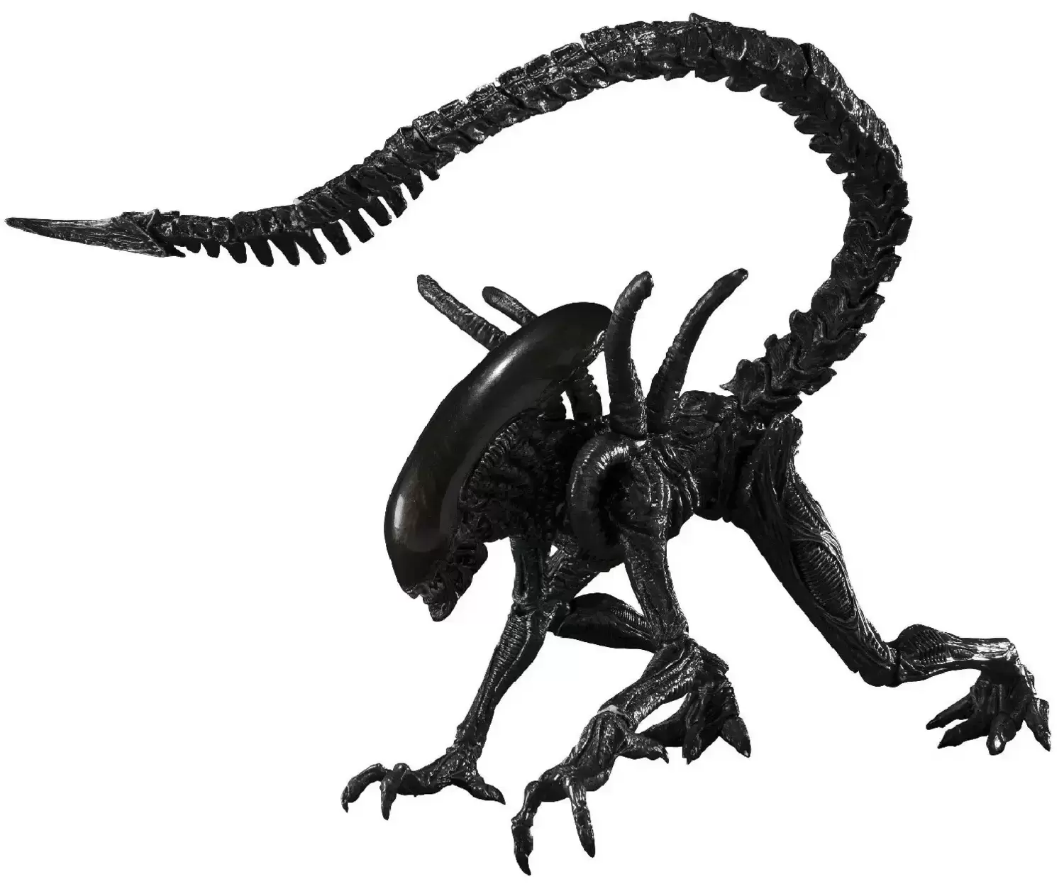 S.H.MonsterArts - Alien vs. Predator - Xenomorph Warrior