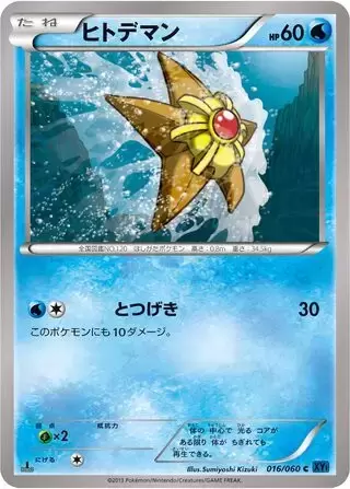 XY1 - Collection Y - Shellder