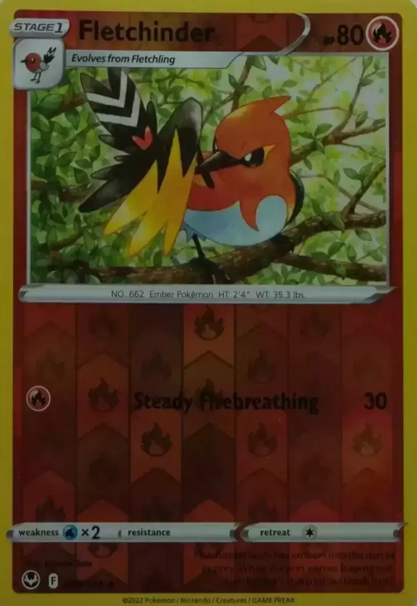 Silver Tempest - Fletchinder Reverse