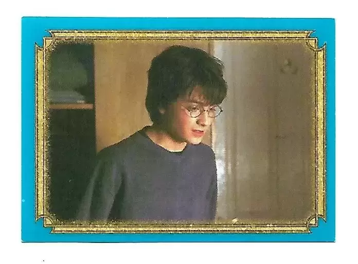 Harry Potter et la Chambre des Secrets - Image n°20