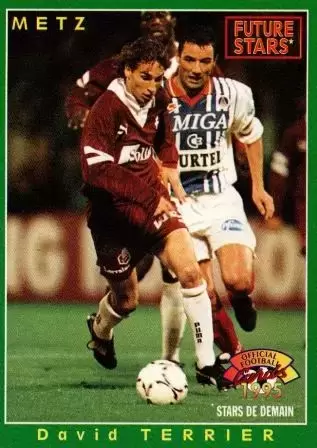 Panini U.N.F.P. Football Cartes 1994-1995 - David Terrier