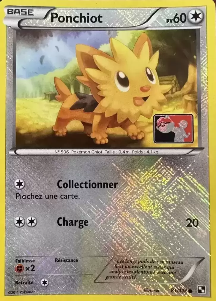Carte Pokémon 80-114 Ponchiot Noir & Blanc NEUF FR - Cdiscount