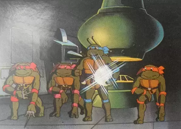 Tortues Ninja - Leonardo   ,    Michelangelo   ,  Donatello   ,   Raphael