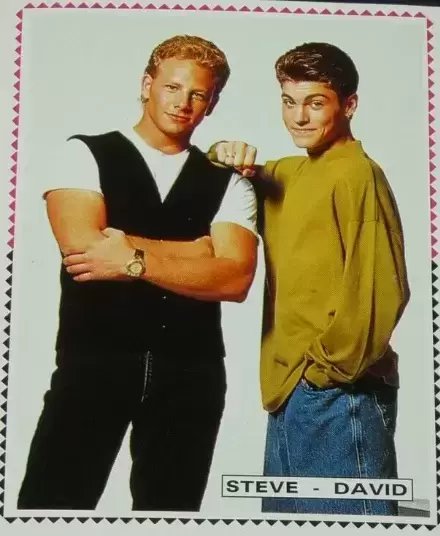 90210 Beverly Hills - Steve  Sanders  ,  David  Silver