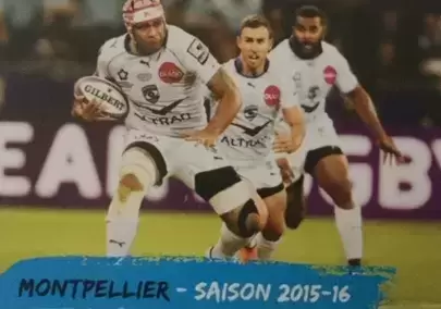 Rugby 2016 - 2017 - Rétrospective  2015 - 2016   Montpellier Hérault rugby