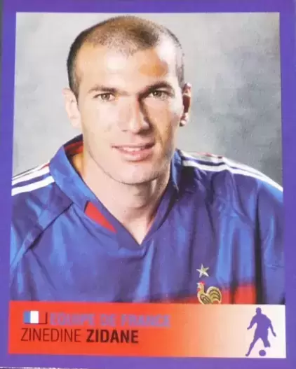 Foot 2006 - Championnat de France de L1 et L2 - Zinédine Zidane - Équipe de France