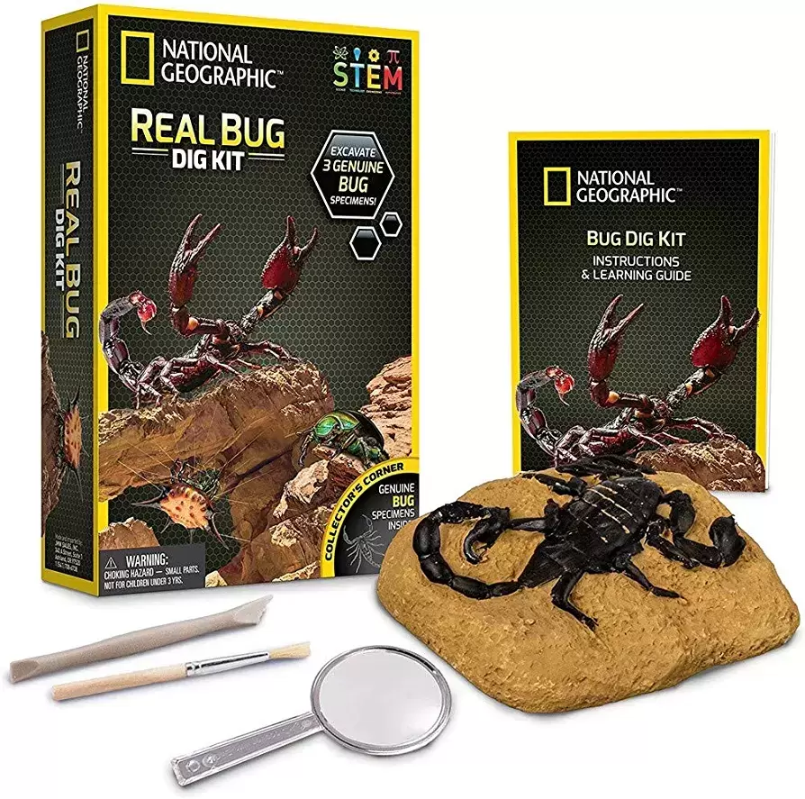 Activity Kits/Sets - Real Bug Dig Kit
