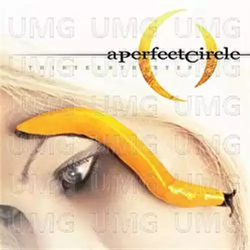 A Perfect Circle - Thirteenth Step