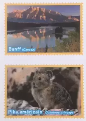 Animaux - A la découverte du monde animal 2014 - Banff  / Pika américain