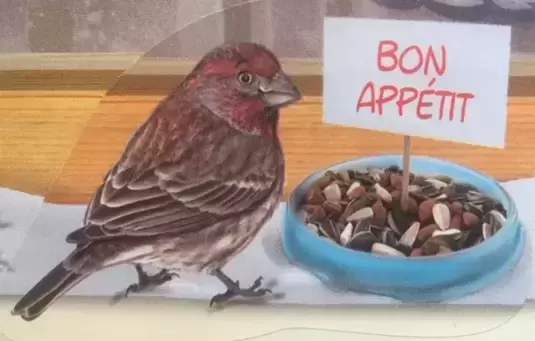 Amici Cucciolotti : Nos p\'tits animaux 2018 - Bon appétit