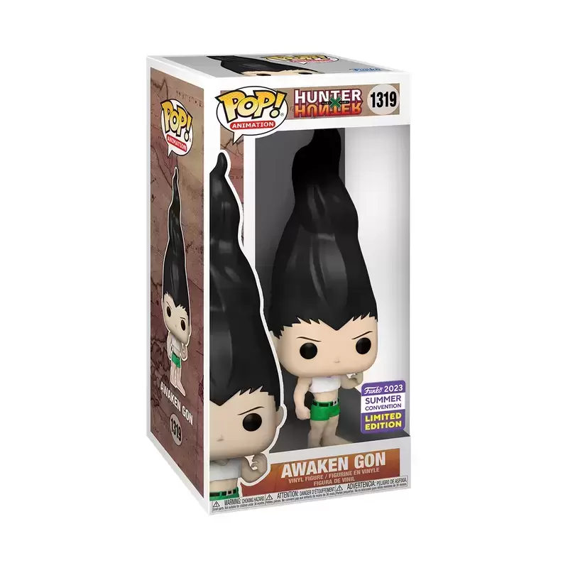 POP! Animation - Hunter X Hunter - Awaken Gon