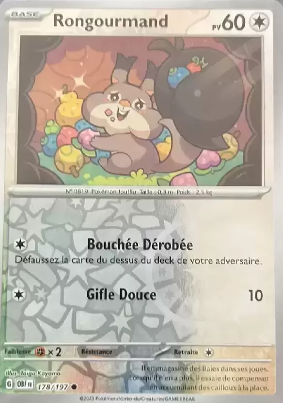 Flammes Obsidiennes - OBFFR - [COPY] Skwovet Reverse