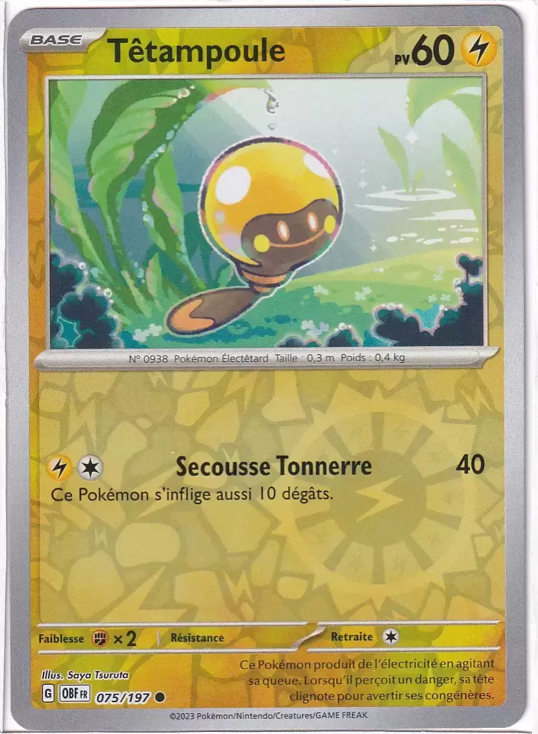 Flammes Obsidiennes - OBFFR - [COPY] Tadbulb Reverse
