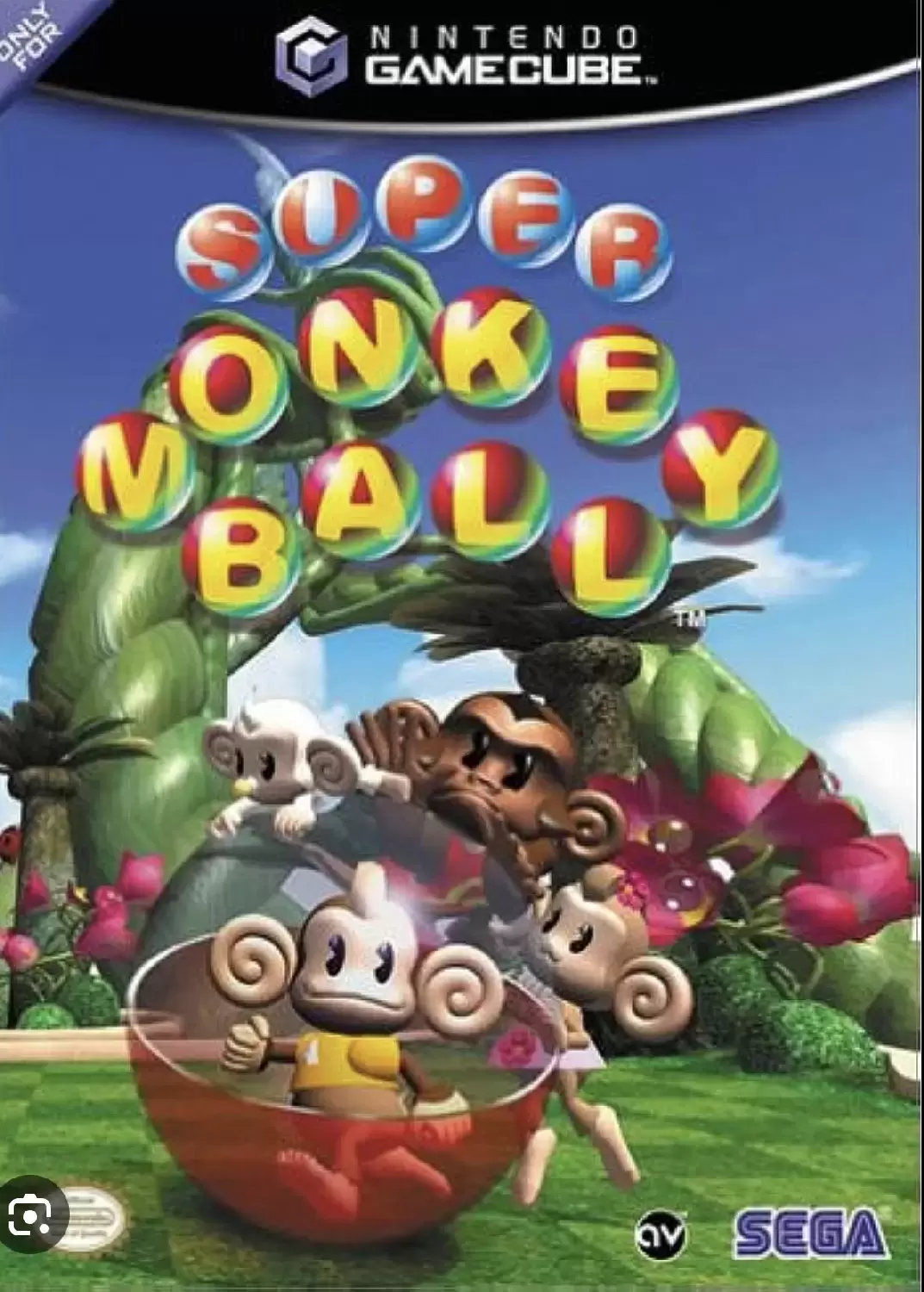 Jeux Gamecube - Super monkey ball