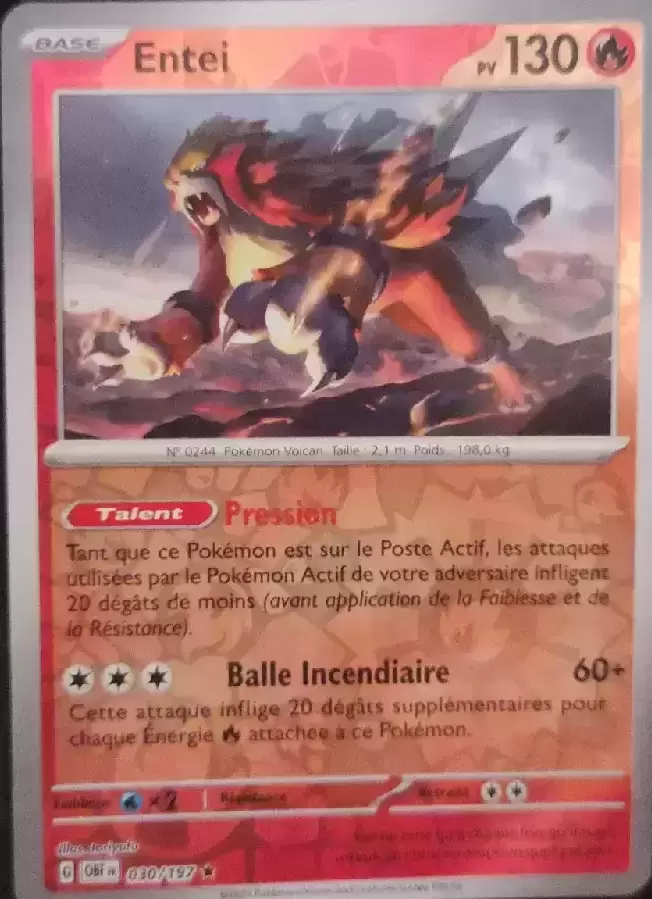 Flammes Obsidiennes - OBFFR - [COPY] Entei Reverse