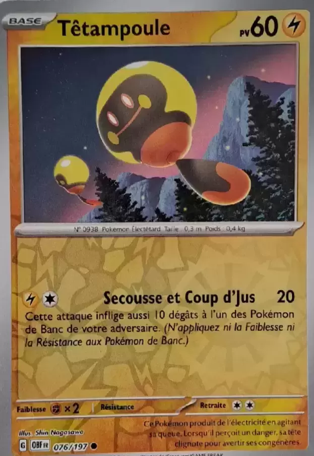 Flammes Obsidiennes - OBFFR - [COPY] Tadbulb Reverse