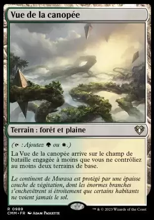 Commander MASTERS - Vue de la canopée