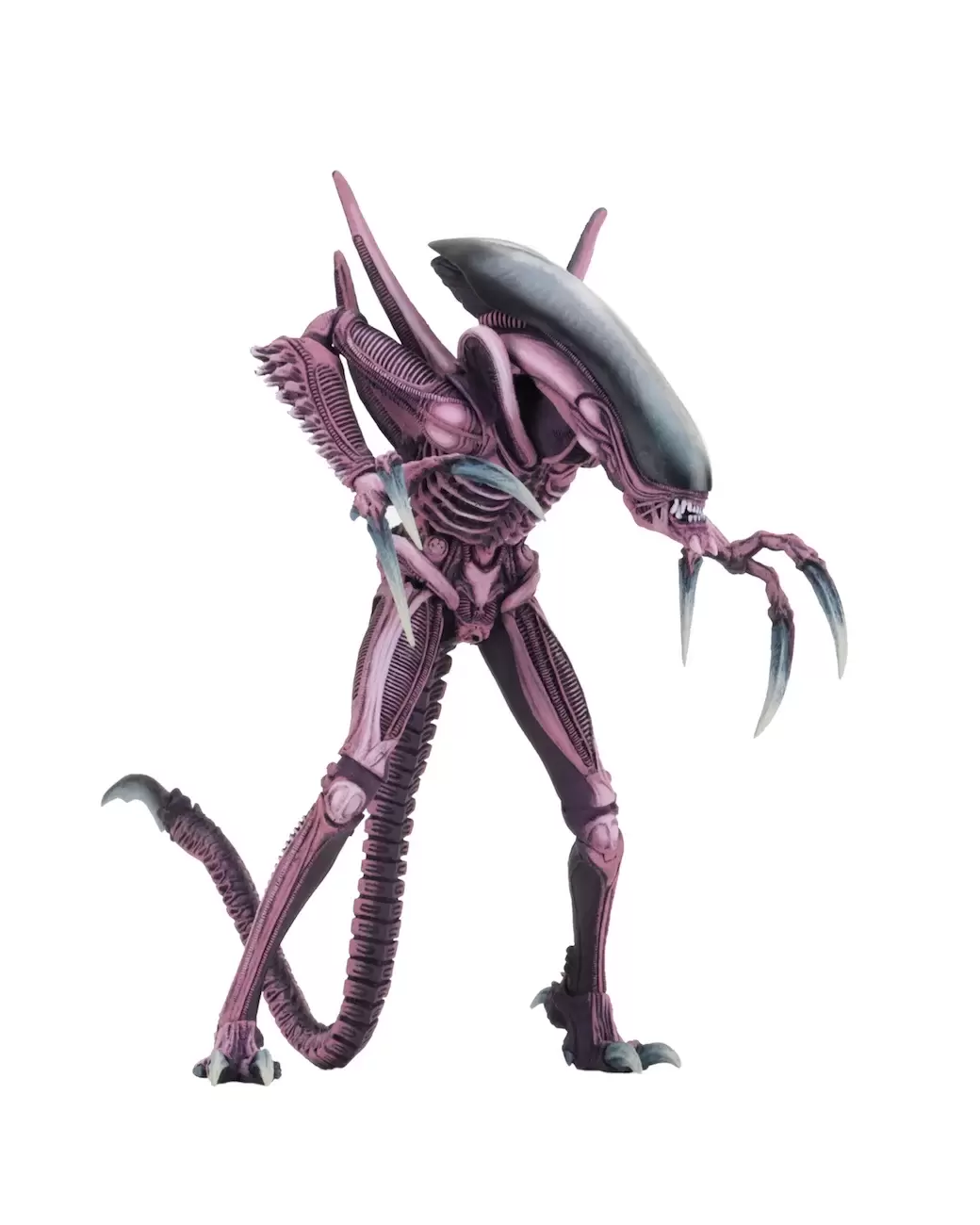 NECA - Aliens vs Predator - Razor Claws