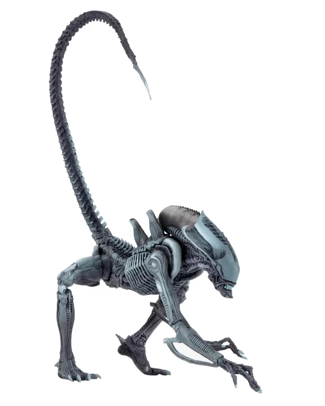NECA - Aliens vs Predator - Arachnoid