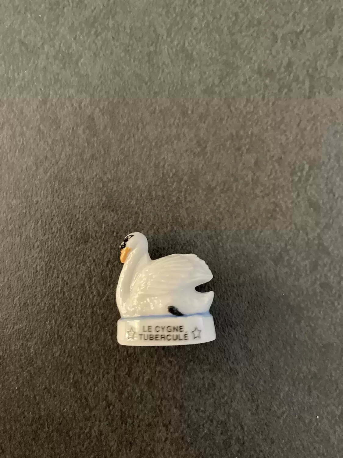 Epiphany Charms - Exceptional Birds Atlas Edition - Le Cygne Tuberculé