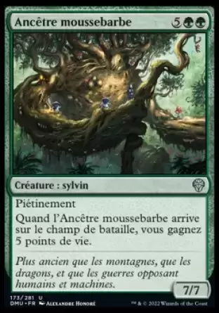 Dominaria Uni - Ancêtre moussebarbe