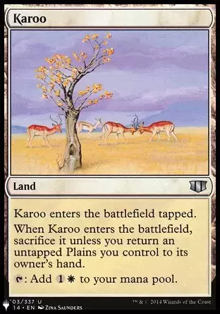 The list - Karroo