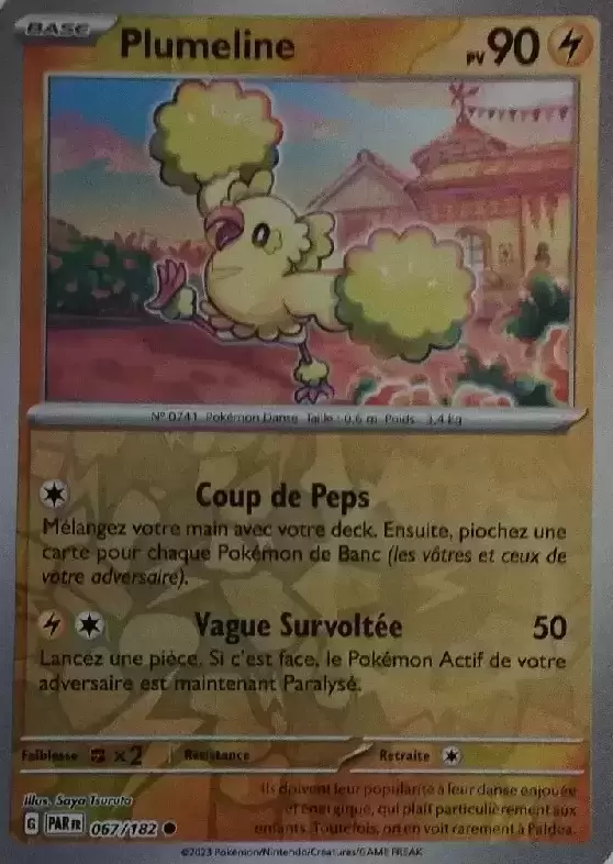 Faille Paradoxe - PARFR - Plumeline Reverse