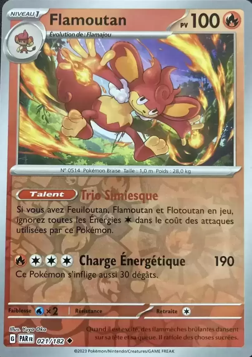 Faille Paradoxe - PARFR - Flamoutan Reverse