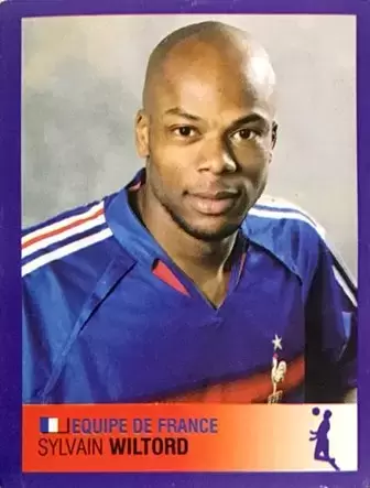 Foot 2006 - Championnat de France de L1 et L2 - Sylvain Wiltord - Équipe de France