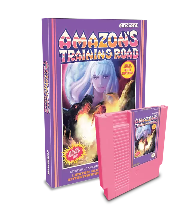 Jeux Nintendo NES - Amazon\'s Training Road