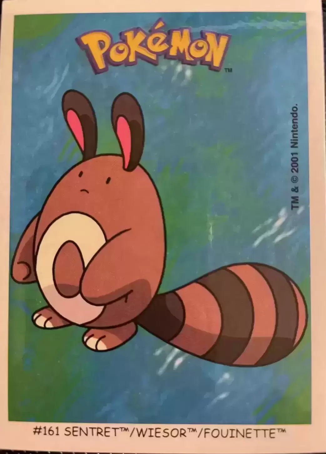 Pokémon - Dunkin Boomer - Fouinette