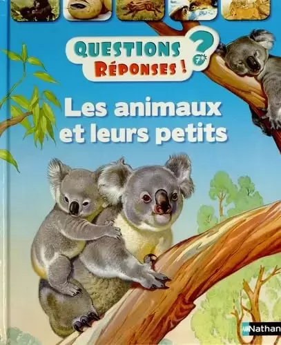 Questions réponses ? - Les animaux et leurs petits