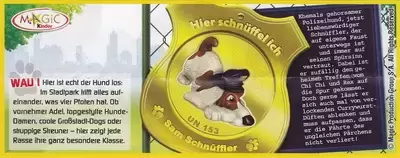 Dog stories - Grobstadt Hunde - BPZ Sam Schnüffler