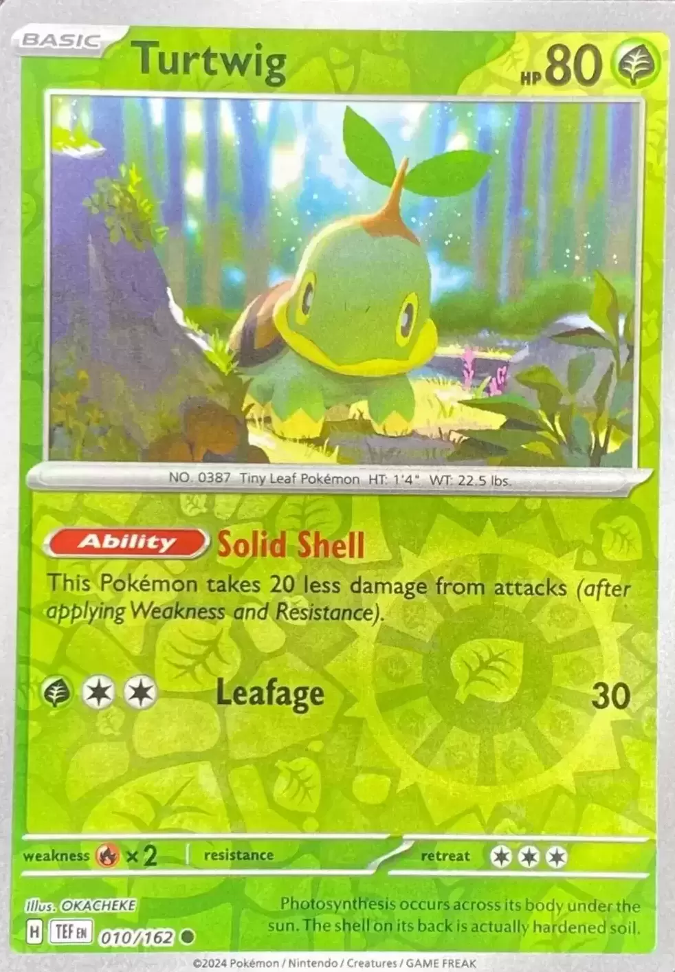Temporal Forces - TEFEN - Turtwig Reverse