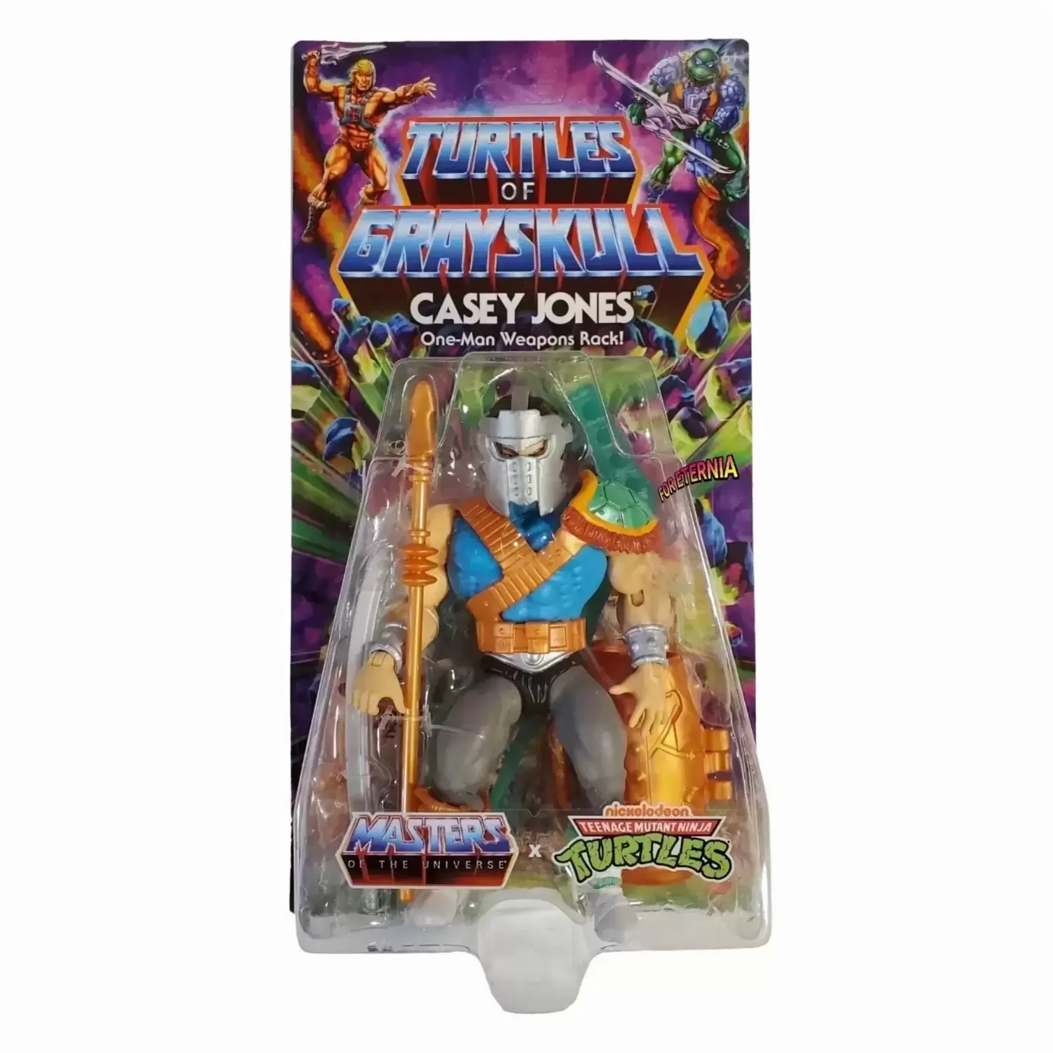 Turtles of Grayskull - Casey Jones