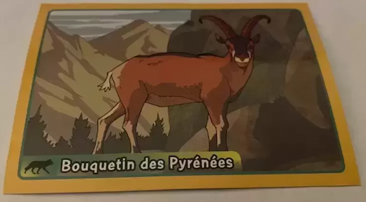 Animaux - A la découverte du monde animal 2014 - Bouquetin des Pyrénées