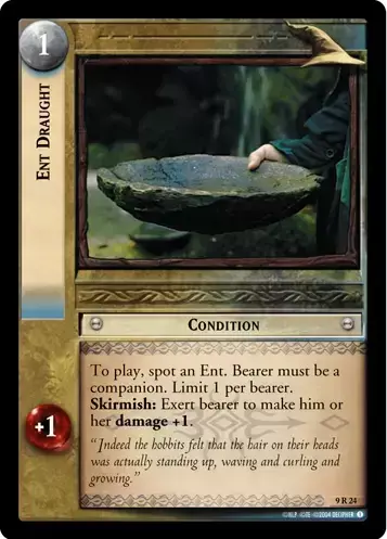 Reflections - Ent Draught