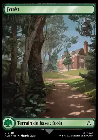 Assassin\'s Creed - Forêt