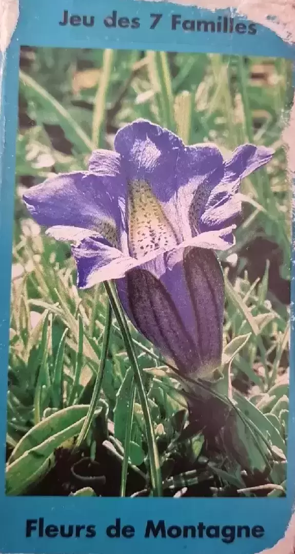 Jeu des 7 Familles - Fleurs De Montagne