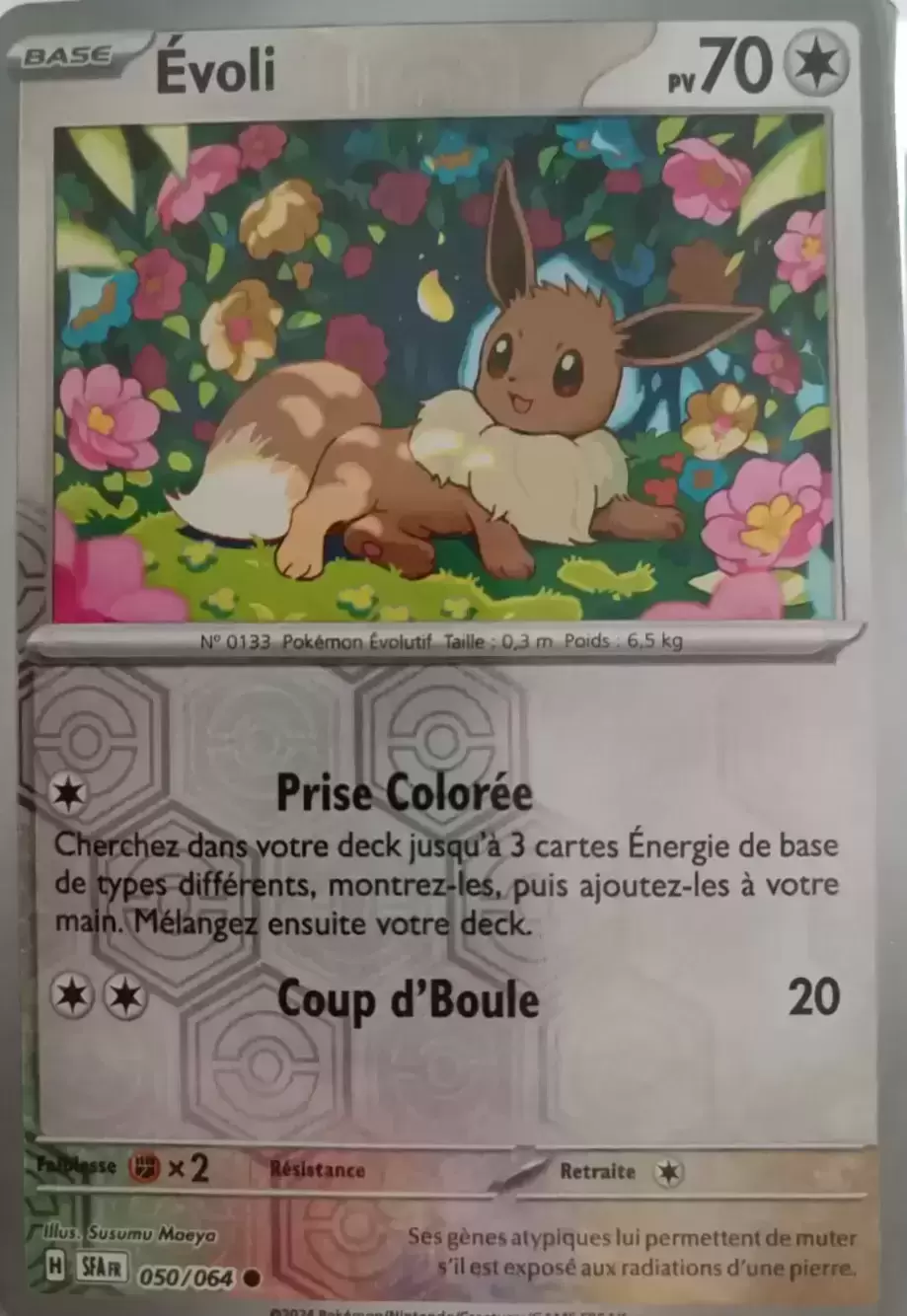 Fable Nébuleuse - SFAFR - [COPY] Eevee Reverse