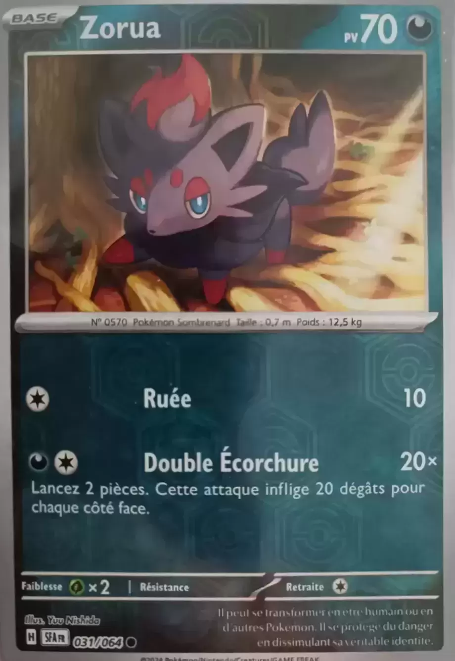 Fable Nébuleuse - SFAFR - [COPY] Zorua Reverse