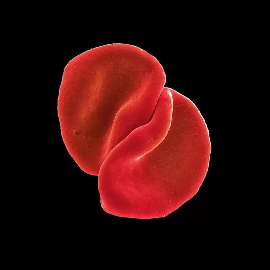 Peter Gabriel - Scratch my back