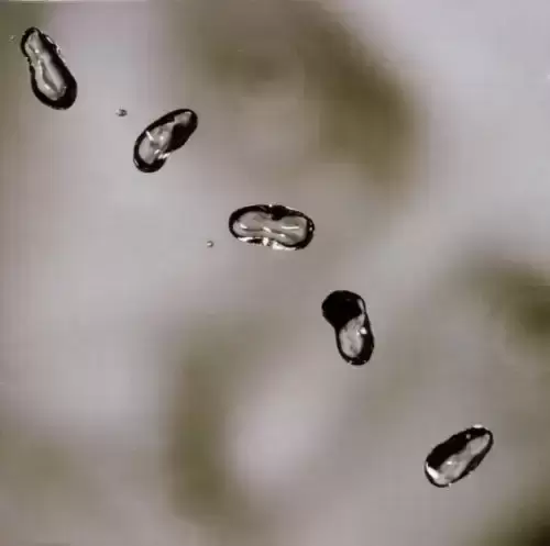 Peter Gabriel - Up