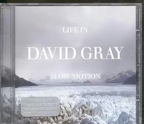 David Gray - Life in Slow Motion